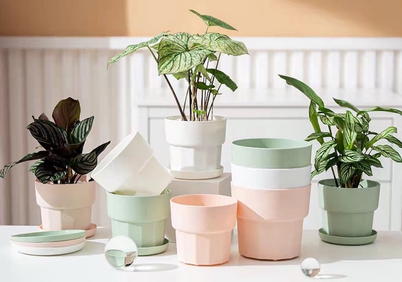 Color vase